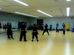 hunggarnancy-artsmartiaux-wushu-kungfu-entrainement-combat-5janvier2015-15      